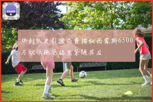 热刺队史引援花费揭秘西蒙斯6500万欧领跑范赫克紧随其后