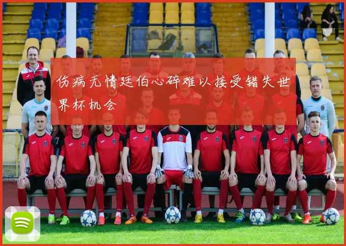 伤病无情廷伯心碎难以接受错失世界杯机会