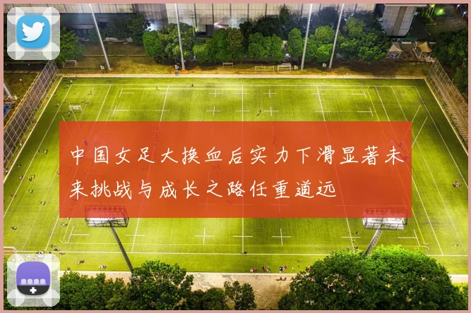 中国女足大换血后实力下滑显著未来挑战与成长之路任重道远