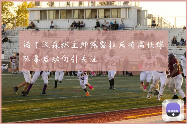 诺丁汉森林主帅佩雷拉或将离任球队幕后动向引关注